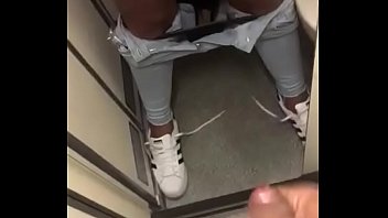 paja en el avion